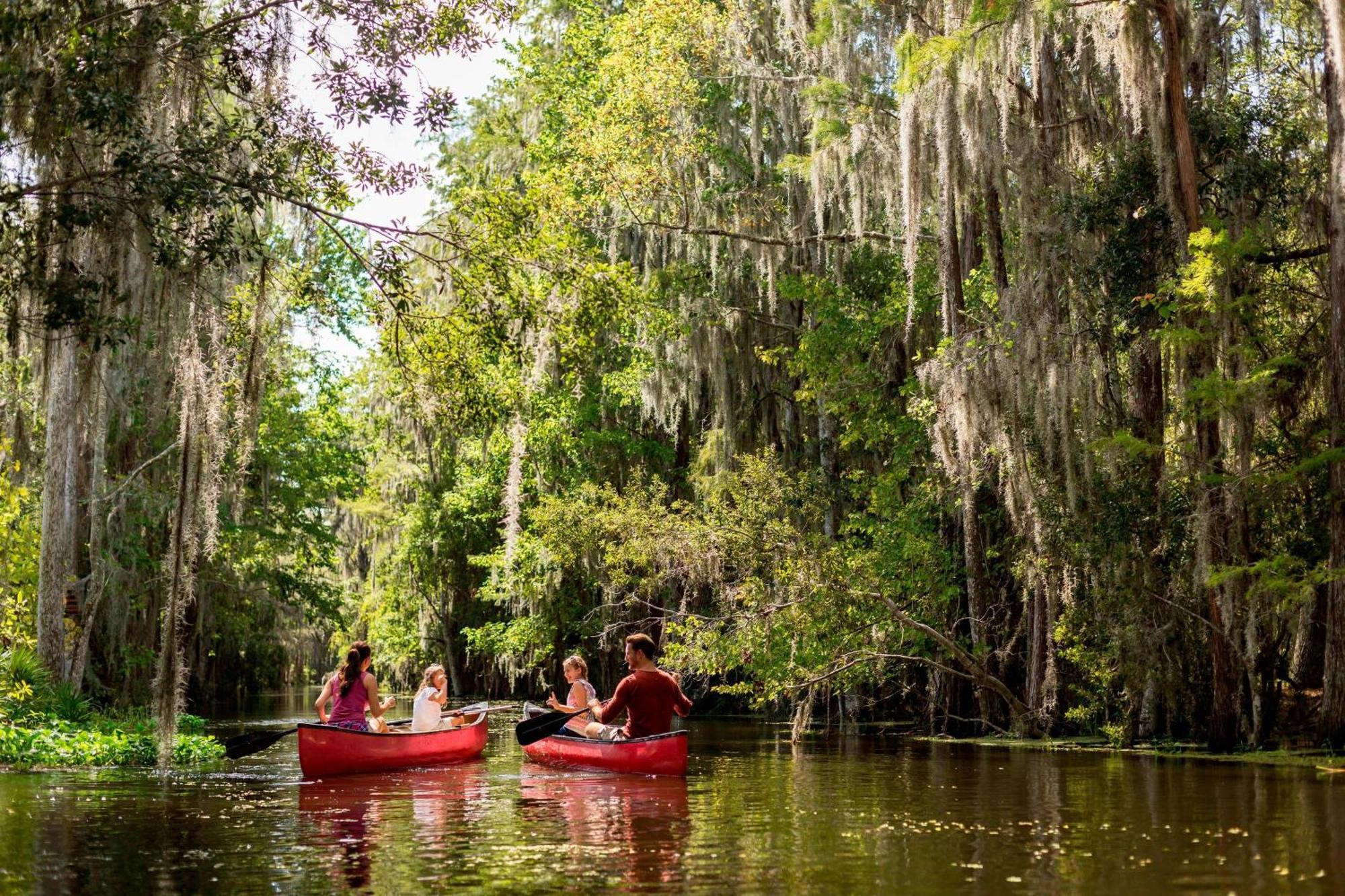 Jw Marriott Orlando Grande Lakes Williamsburg Dış mekan fotoğraf