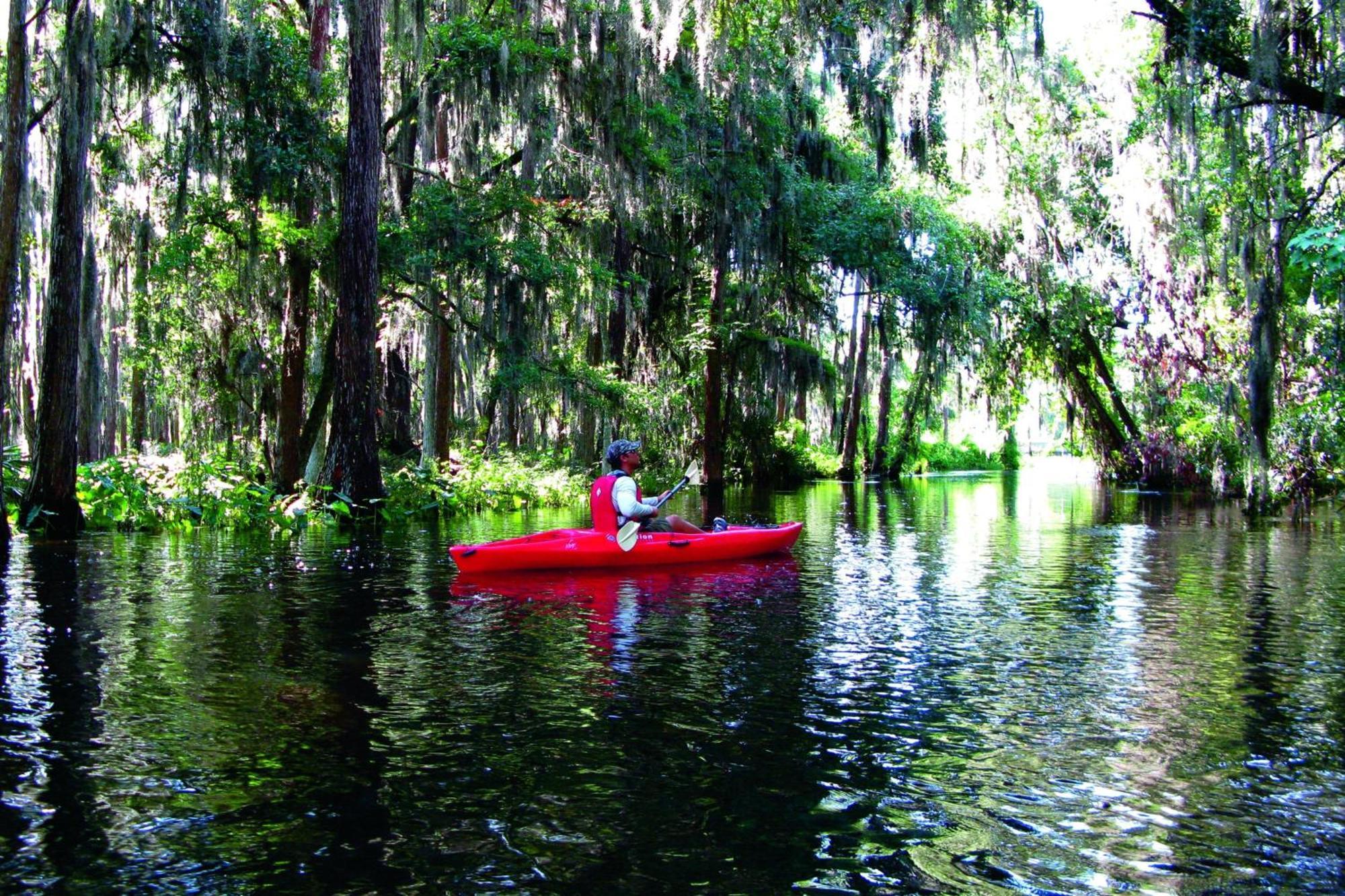 Jw Marriott Orlando Grande Lakes Williamsburg Dış mekan fotoğraf