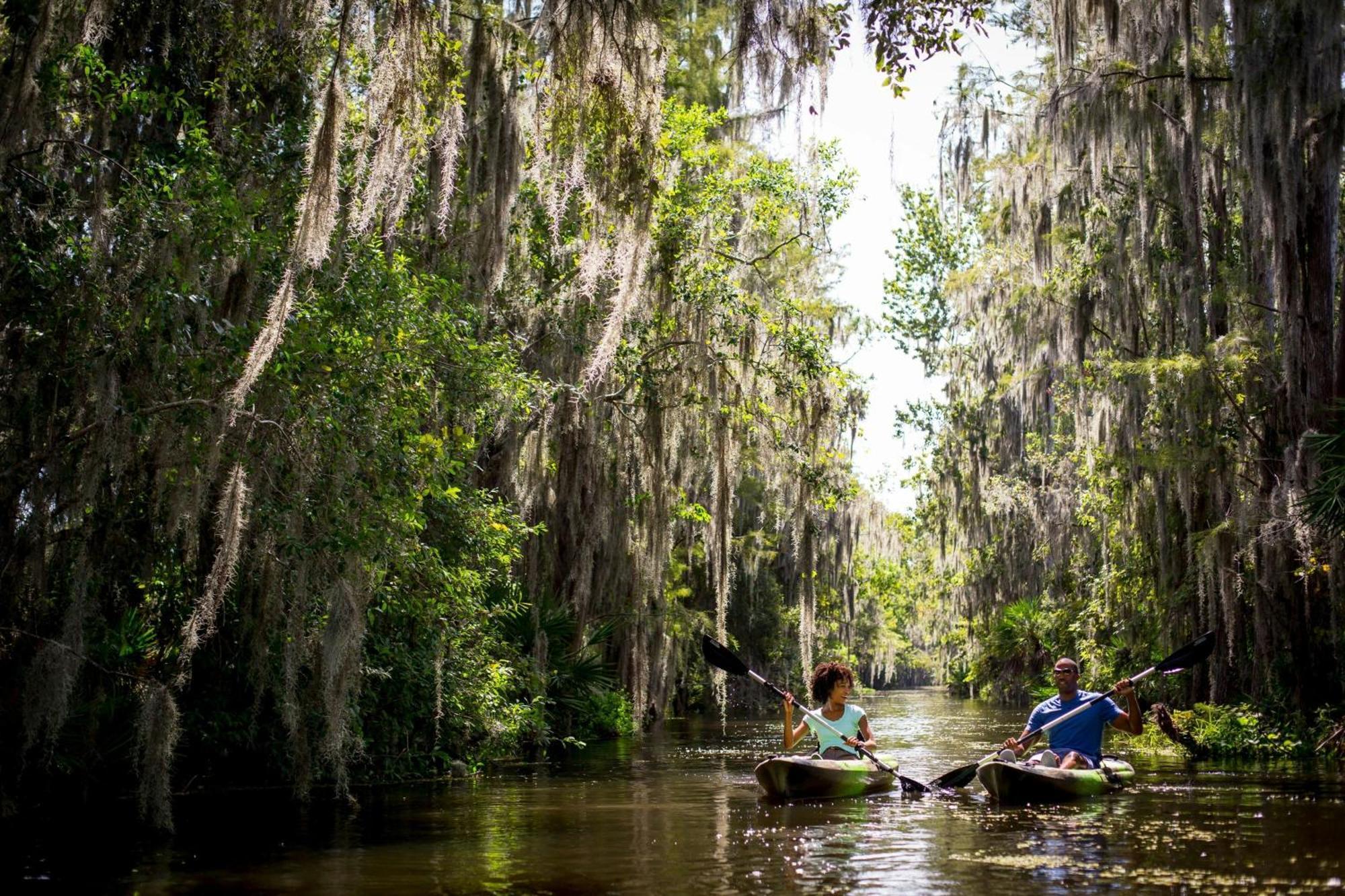 Jw Marriott Orlando Grande Lakes Williamsburg Dış mekan fotoğraf